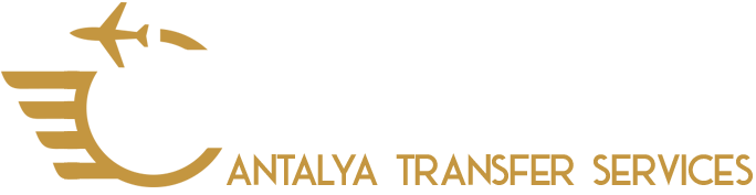 M vip transfer